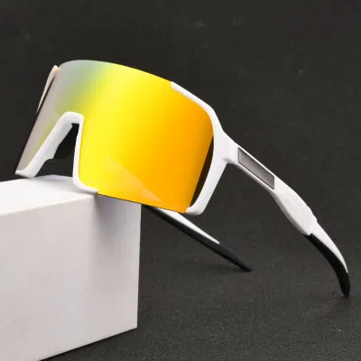 Free Sample Custom Tr90 Frame Cricket Bike Driving Fishing Oversize Polarized Photochromic Cycling Mens Sport Sunglasses