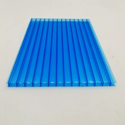Greenhouse Roofing PC Panel Swimming Pool Roof Twin Wall Hollow Polycarbonate Sheet