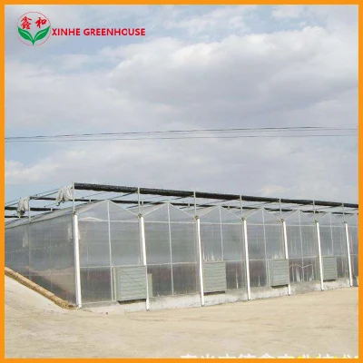  Polycarbonate Sheet Greenhouse with Blackout Shade System