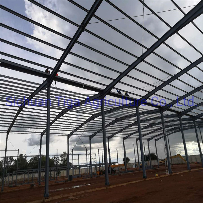 Steel Structure Buildings Materials for Chicken House Construction Logistic Warehouse/Agriculture Greenhouse