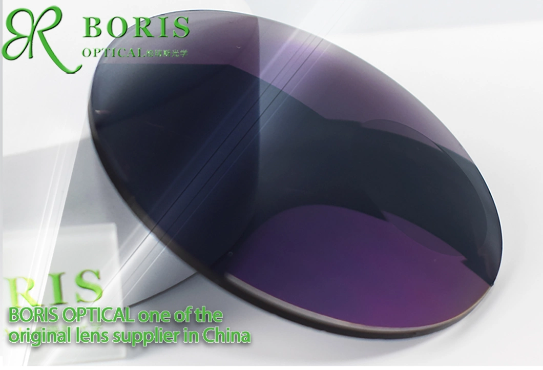 Boris 1.56 Bifocal Round Top Photo Grey Hmc Optical Lenses