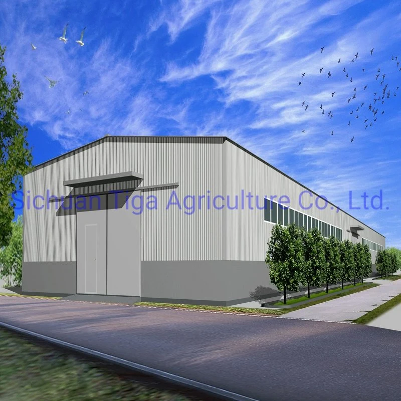 Modern Prefab Steel Structure Building Prefabricated Warehouse/Workshop/Aircraft Hangar/Office Construction Material