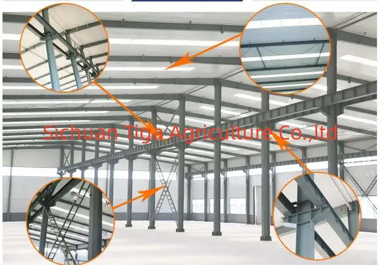 Modern Prefab Steel Structure Building Prefabricated Warehouse/Workshop/Aircraft Hangar/Office Construction Material