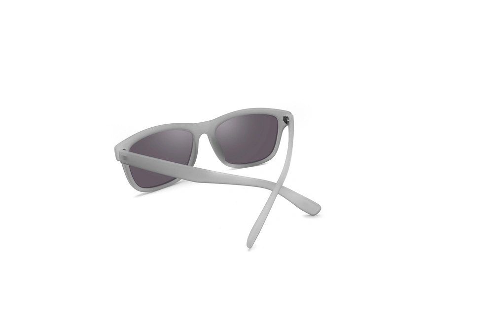 Dp8008 Free Sample Trendy UV400 Lens Interchangeable Temples Fashion Sun Shade Sunglasses