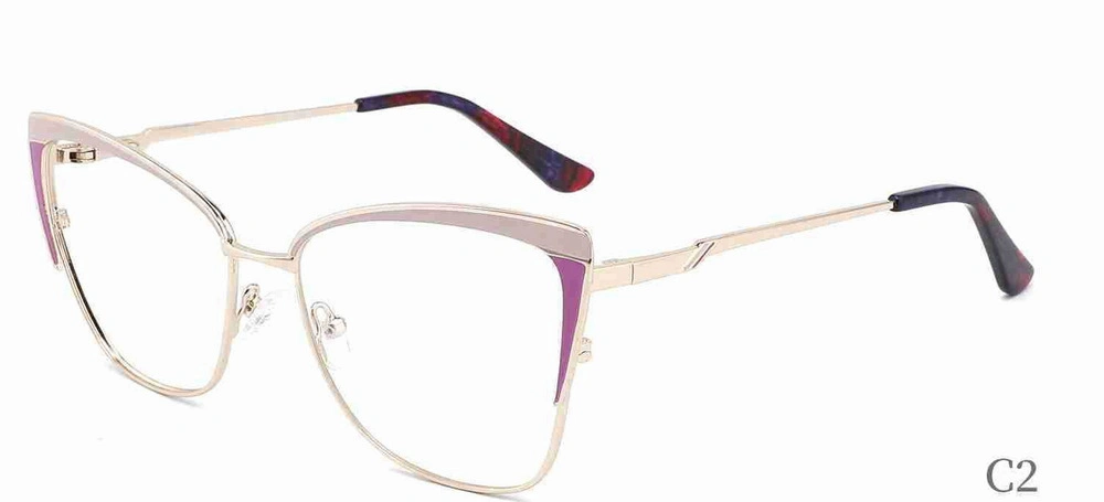 Eyewear Xc62117 Trendy Cat Eye Metal Frames Photochromic Spectacle Glasses Anti Blue Light Optical Frame Women Eyeglasses Wholes