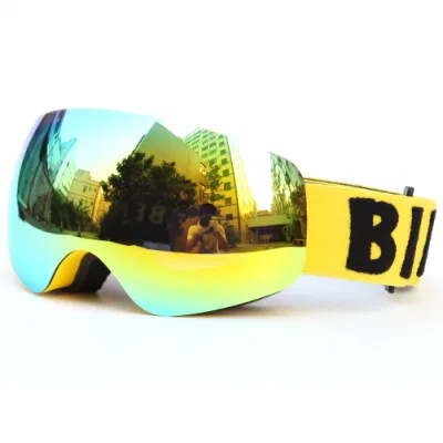 Gafas de esquí para niños Origen de la fábrica de Motocross de gafas de nieve para la estación de esquí gafas Gafas de protección