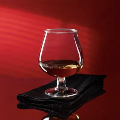 16 Oz resistente a los lavavajillas de plástico de policarbonato gafas Brandy