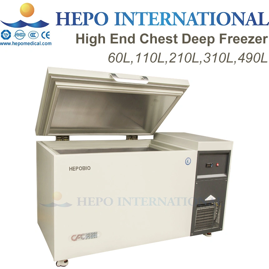 Chinese Large Capacity Energy Saving Upright Deep Cooling Freezer