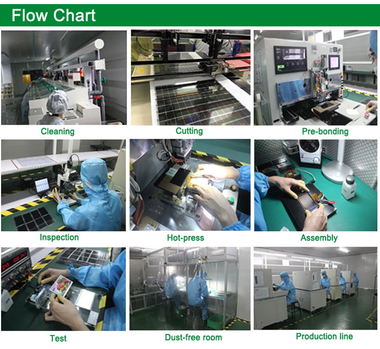 Monochrome 20*2 COB Character LCD Screen/LCD Module/LCD Display with Stn Blue/Green/Black