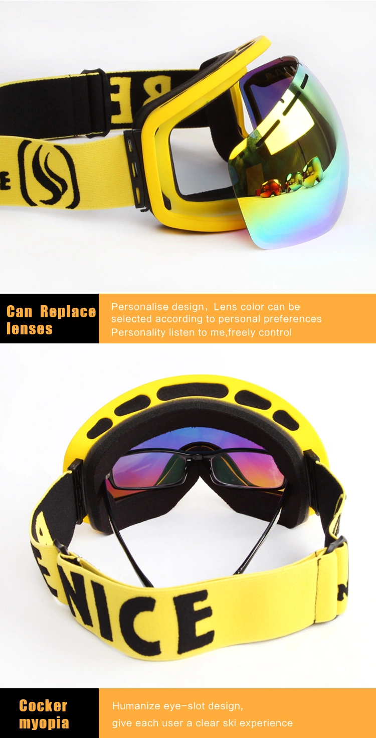 Anti-Fog PC Lenses Ski Goggles Adult Snow Sports Glasses