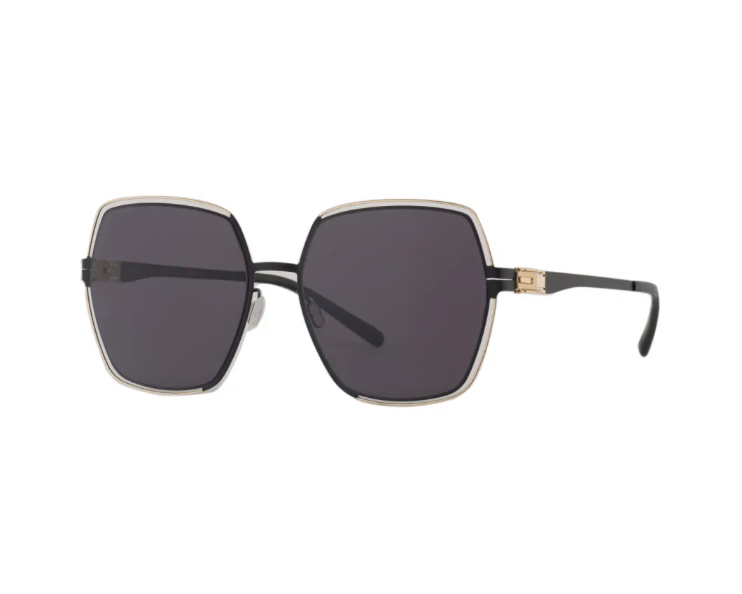 Lx20116 Square Frame Sunglasses with Acetate Frame and Metal Decoration