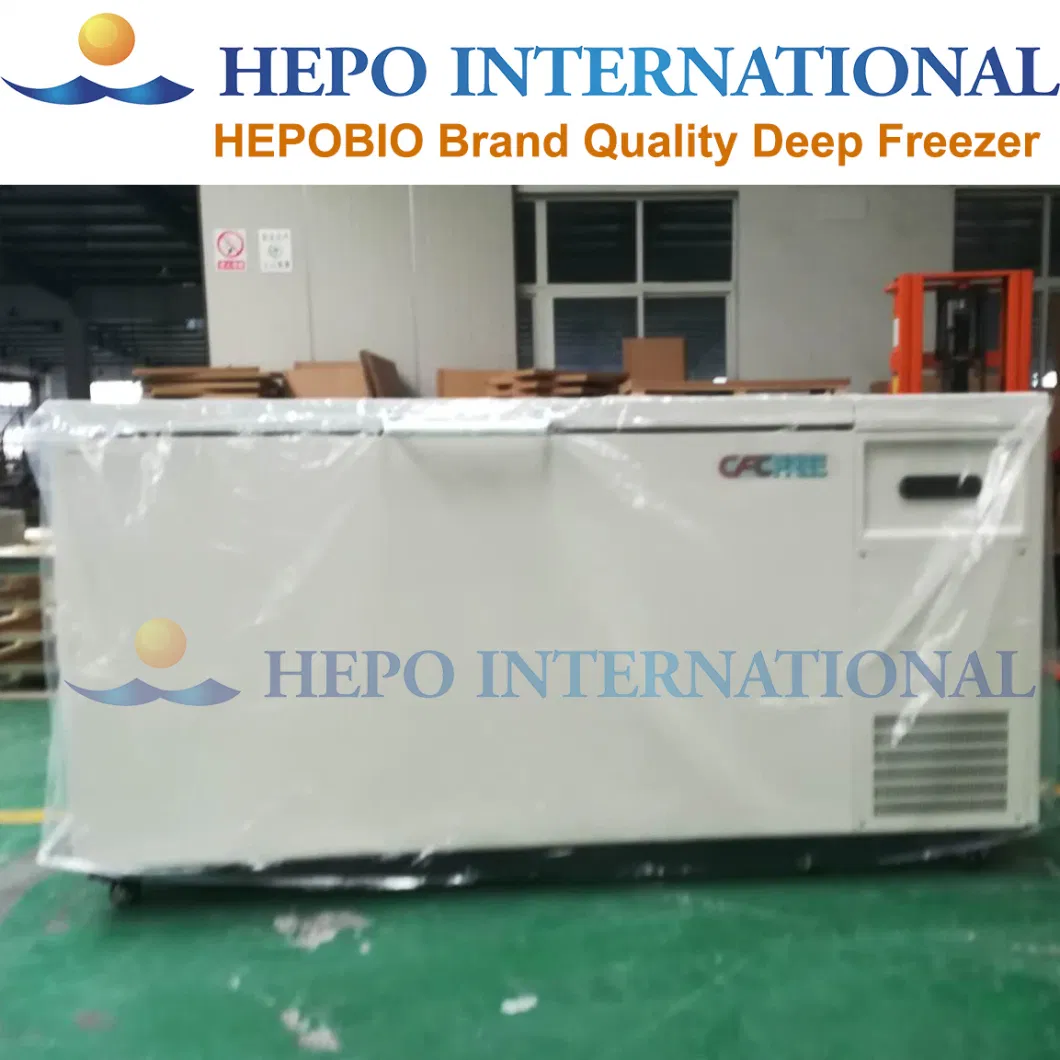 Chinese Large Capacity Energy Saving Upright Deep Cooling Freezer