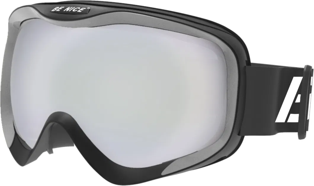 Wild View Snow Goggles Two Colors Frame OTG Glasses