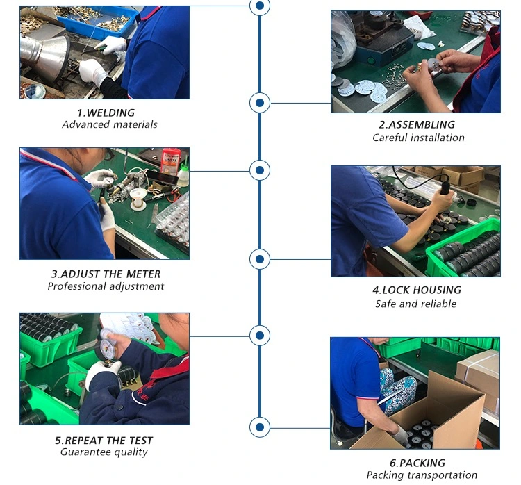 China Manufacturer Digital General Pressure Gauges with Diaphragm Seal