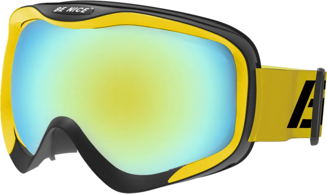 Wild View Snow Goggles Two Colors Frame OTG Glasses