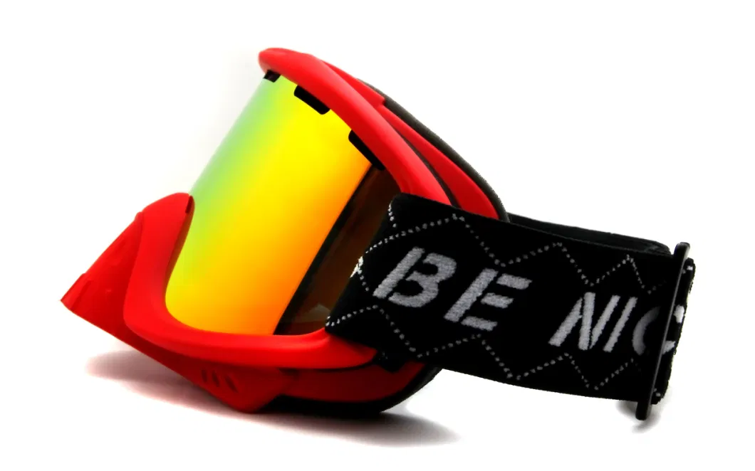 Full UV-Protection Double PC Lens Snow Glasses with Removable Nose Guard Ski Goggles