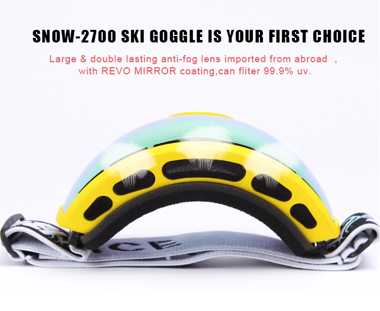 Customizable Icons Huge Frame Ski Sports Glasses