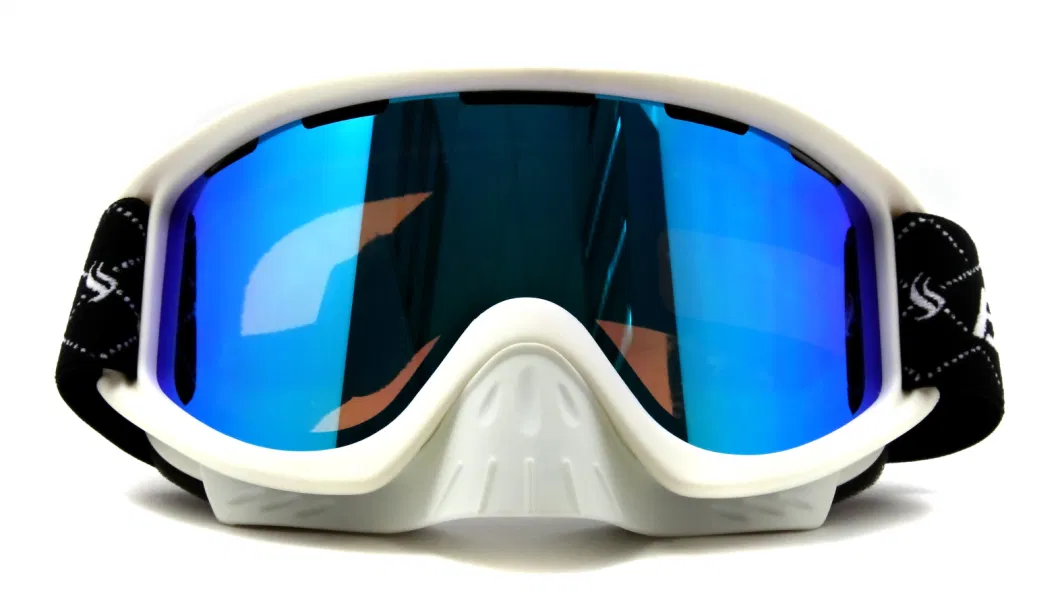 Full UV-Protection Double PC Lens Snow Glasses with Removable Nose Guard Ski Goggles