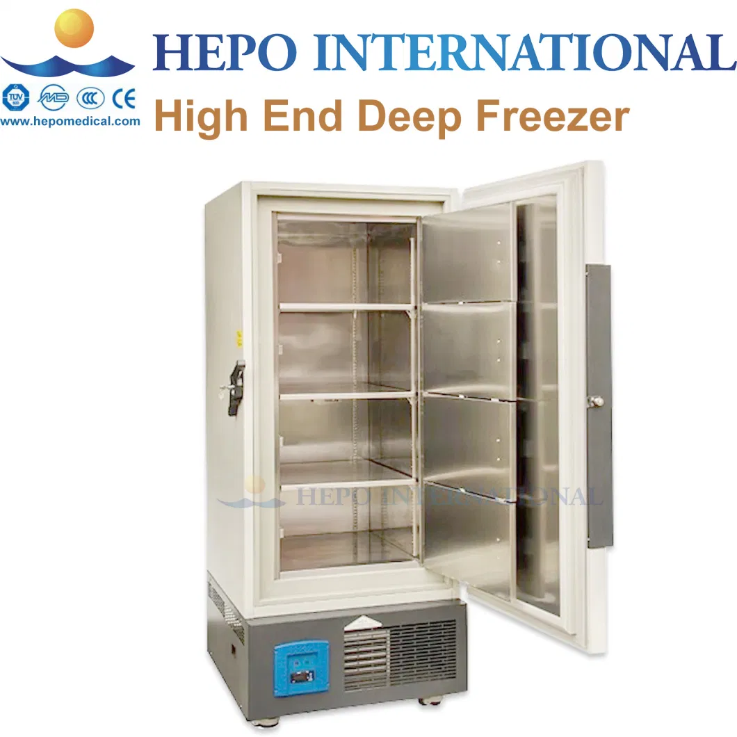 Chinese Large Capacity Energy Saving Upright Deep Cooling Freezer