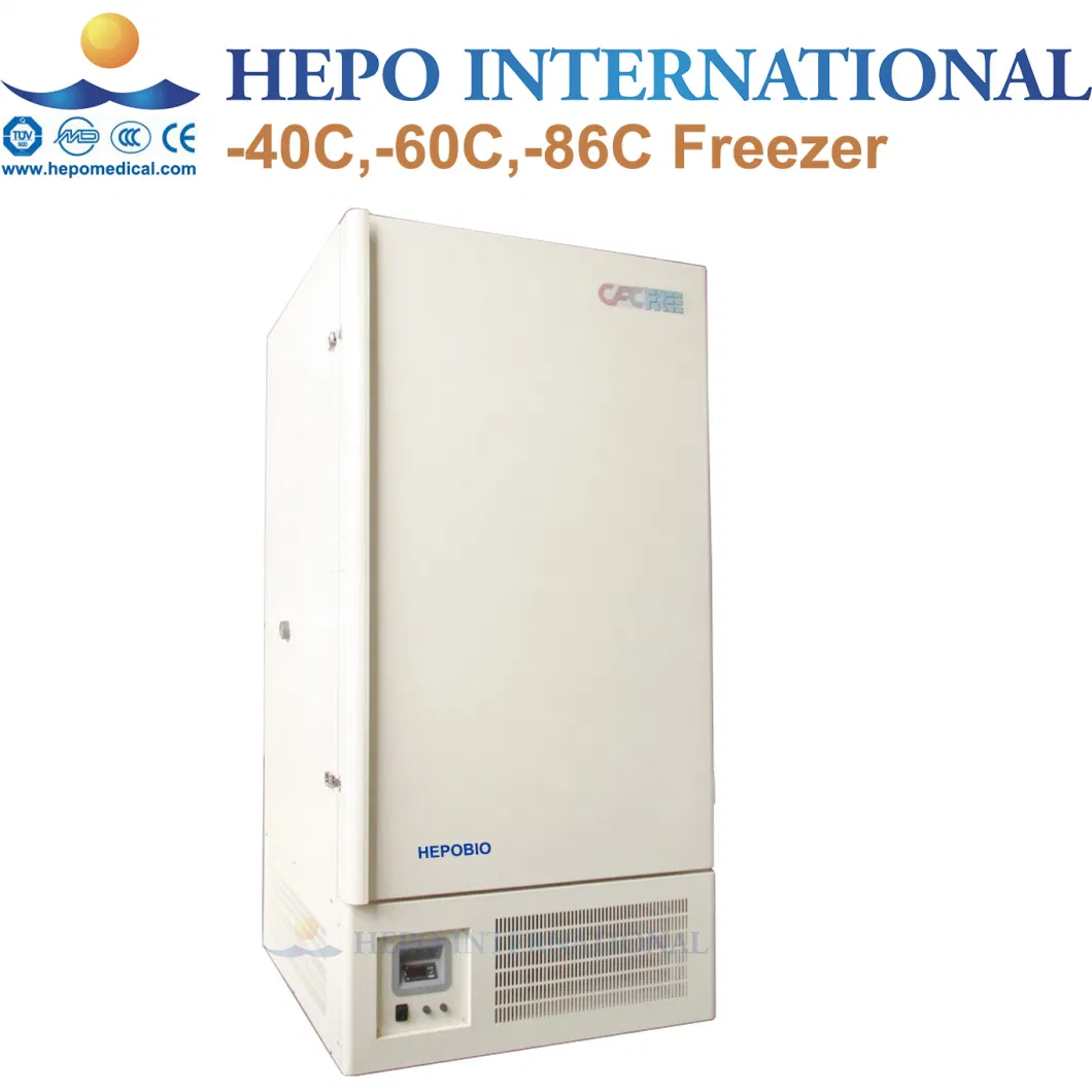 Chinese Large Capacity Energy Saving Upright Deep Cooling Freezer