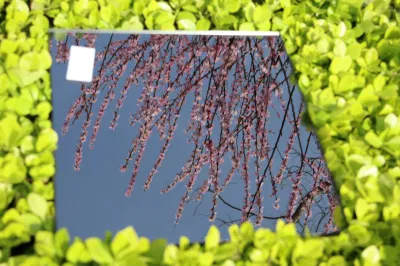  Vetro fotocromico a colori intensi vetro dicroico pleocroico specchio ottico dicroico Filtri
