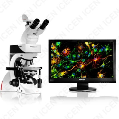 DM1000 Industrial Zoom Stereo Microscopio Zoom obiettivo 0.67X - 4.5X, distanza di lavoro: 110mm ingrandimento da 3.3X a 135X