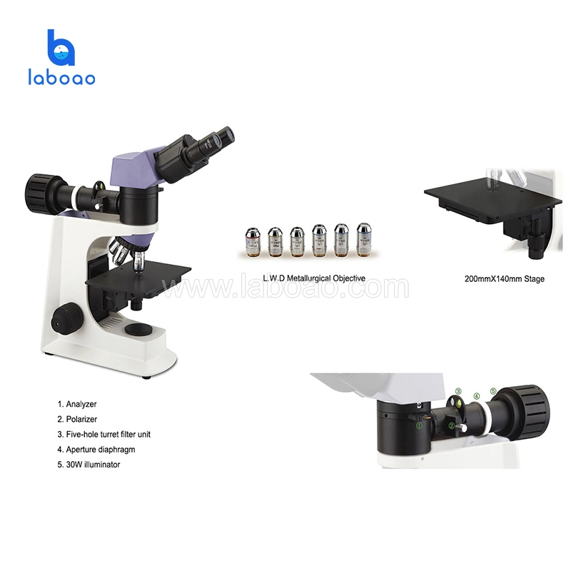 Professional Lab Binocular Upright Metallographic Microscope for Scientific Research