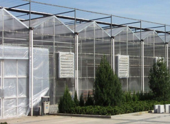 Agriculture Multi Span PC Sheet Hydroponic Greenhouse