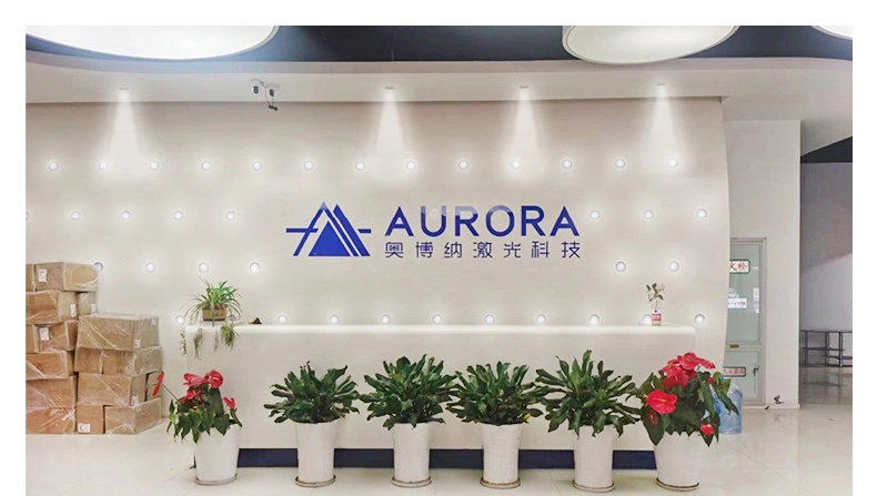 Aurora Raytools Original Focus Lens D28 D30 for Fiber Laser Cutting Head