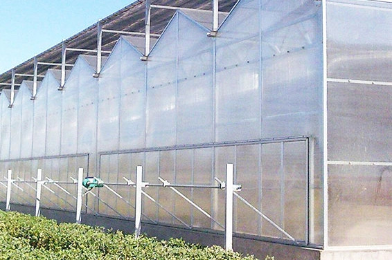 Agriculture Multi Span PC Sheet Hydroponic Greenhouse