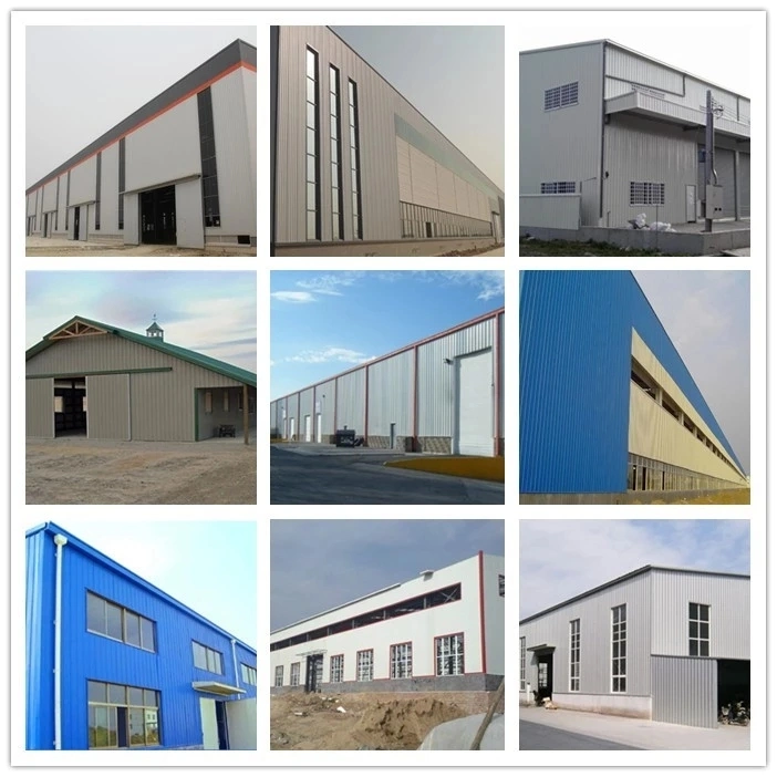 Steel Construction Prefab Workshop Hangar Building