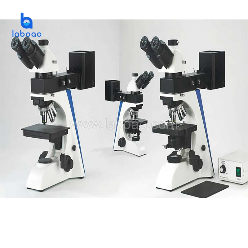 Professional Lab Binocular Upright Metallographic Microscope for Scientific Research
