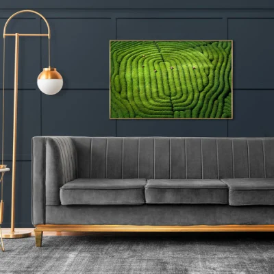 Exclusivo diseño personalizado Copyright Cisne Blanco fotografía enmarcada pared 3D de arte para la decoración del hogar
