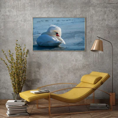 Cisne Blanco original fotografías de impresión de lienzo con bastidor de la Decoración de pared exterior PS