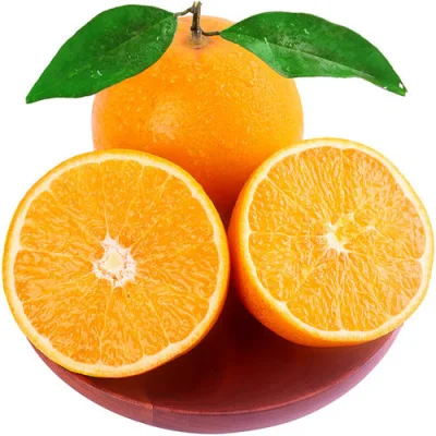  Hot Sale Mandarín fresco y naranjas para exportación