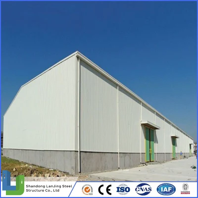  Estructura de acero al aire libre prefabricada Avión Hangar Avión Diseño profesional Galvanizado Marco para la construcción de acero estructural