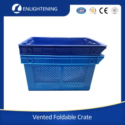 600X400X250mm Transporte personalizado plástico fideos planos cesta de frutas apilable anidado Recipiente de fruta malla almacenamiento de verduras fideos planos