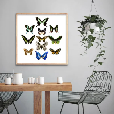 Impresión de alta definición personalizada mariposas coloridas estructura flotante de arte de pared pintura lienzo bastidor mayorista