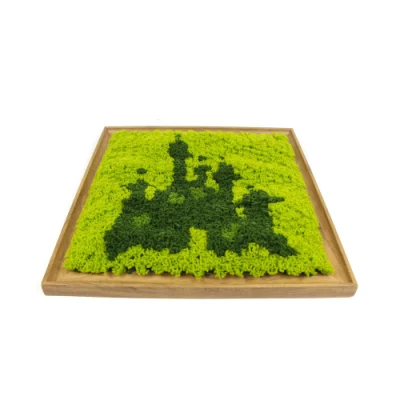  Venta caliente el patrón de castillo de planta Artificial decorativa del bastidor de pared para el café verde falso decoración de boda