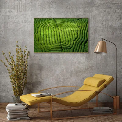 Exclusivo diseño personalizado Copyright Cisne Blanco fotografía enmarcada pared 3D de arte para la decoración del hogar