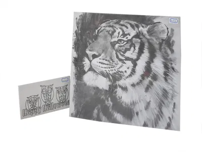  100% algodón Tablero de lienzo impreso Canvas Acrílico acuarela Lienzos para la pintura de artistas escolares