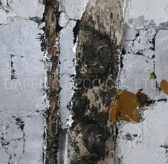 Resumen El nuevo diseño (141X0032) Handmade pared pintura arte decorativo