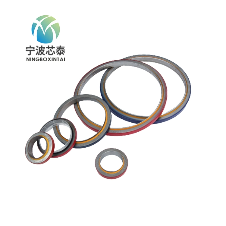 Mechanical Seal O-Ring PTFE Products and Frame Oil Seal