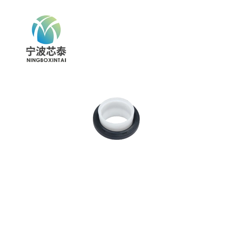 Mechanical Seal O-Ring PTFE Products and Frame Oil Seal