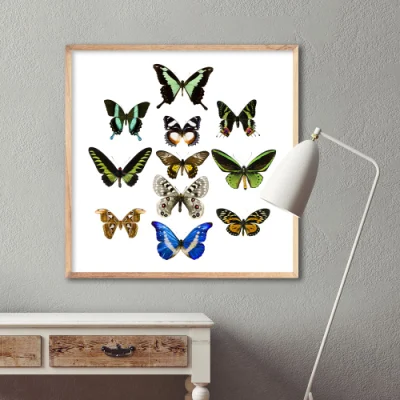 Custom HD Print Colorful Butterfly telaio galleggiante Wall Art all&prime;ingrosso Pittura tela cornice