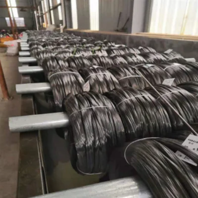 Molla ad alto tenore di carbonio Listino prezzi Produttore filo in acciaio nero a razze 0,32 mm