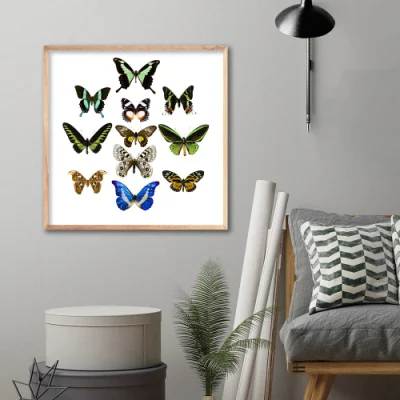 Custom HD Print Colorful Butterfly telaio galleggiante Wall Art all&prime;ingrosso Pittura tela cornice