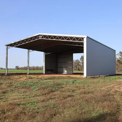 Struttura in acciaio montaggio rapido prefabbricato telaio porta auto shed con Porte multiple