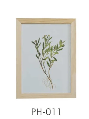 Cornice fotografica singola in MDF nero con Picture Card