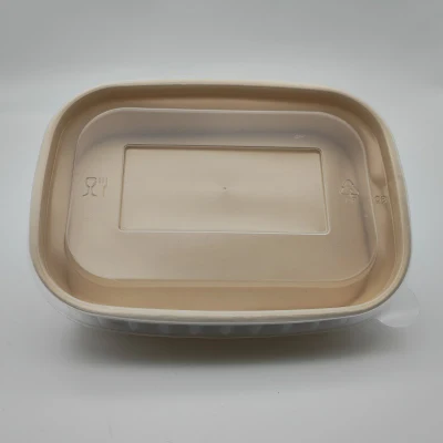 Recipiente rettangolare in carta con coperchio per frutta a insalata Fast Food